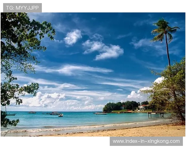 多巴哥特色潜水运动成旅游新亮点，多巴哥的中国人生活
